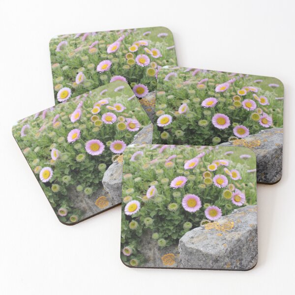 Item preview, Seaside Daisy - Erigeron ursinus designed and sold by Kate Anderson Art.