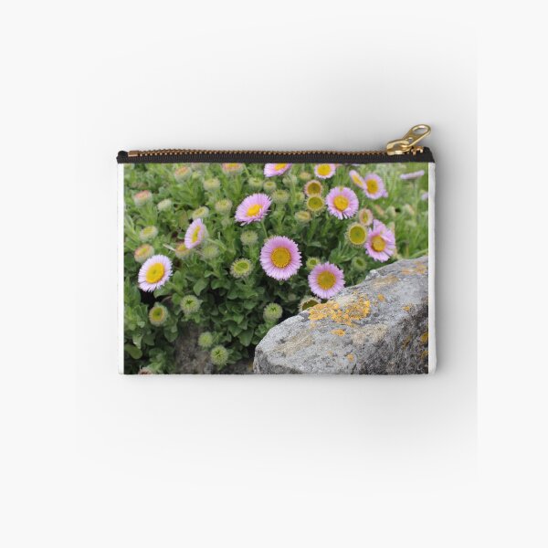 Item preview, Seaside Daisy - Erigeron ursinus designed and sold by Kate Anderson Art.