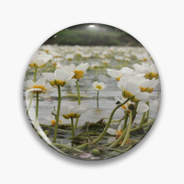 Item preview, River Water-Crowfoot - Ranunculus Fluitans designed and sold by Kate Anderson Art.