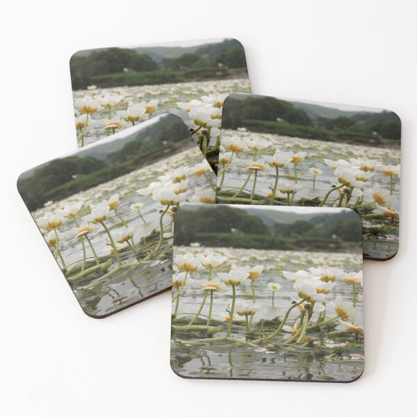 Item preview, River Water-Crowfoot - Ranunculus Fluitans designed and sold by Kate Anderson Art.