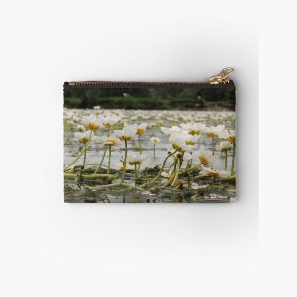 Item preview, River Water-Crowfoot - Ranunculus Fluitans designed and sold by Kate Anderson Art.
