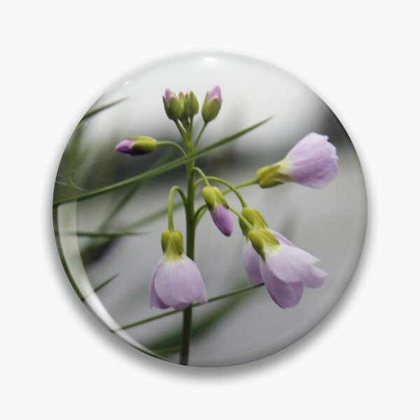 Item preview, Cardamine pratensis, the cuckoo flower, lady's smock, mayflower, or milkmaids. designed and sold by Kate Anderson Art.