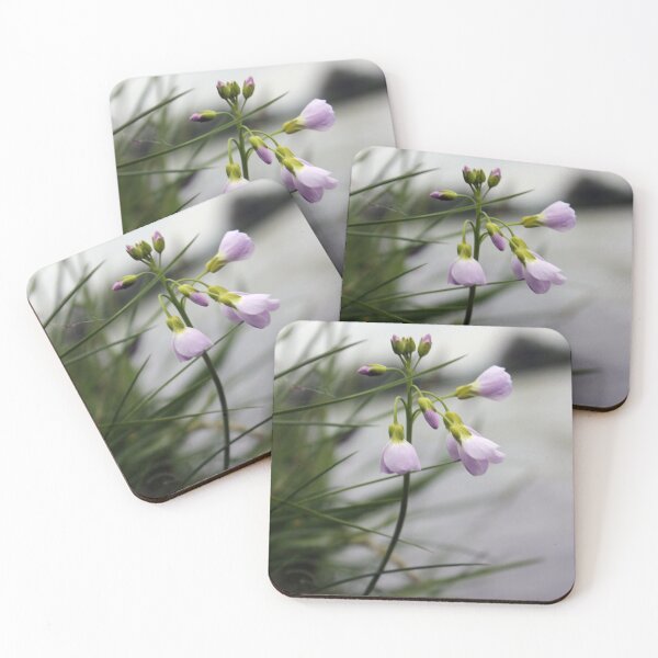 Item preview, Cardamine pratensis, the cuckoo flower, lady's smock, mayflower, or milkmaids. designed and sold by Kate Anderson Art.