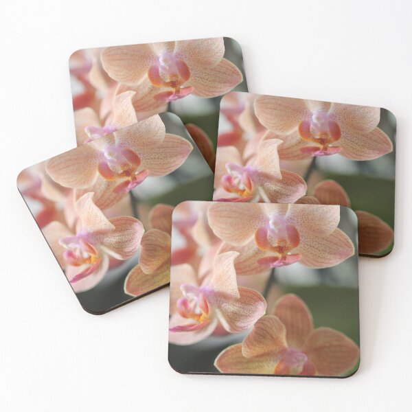 Item preview, Phalaenopsis 'Sunrise Delight' designed and sold by Kate Anderson Art.