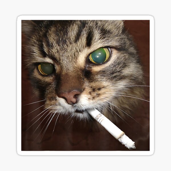 Item preview, Cat Meme Cat Smoking Cigarette designed and sold by Trendyescape.