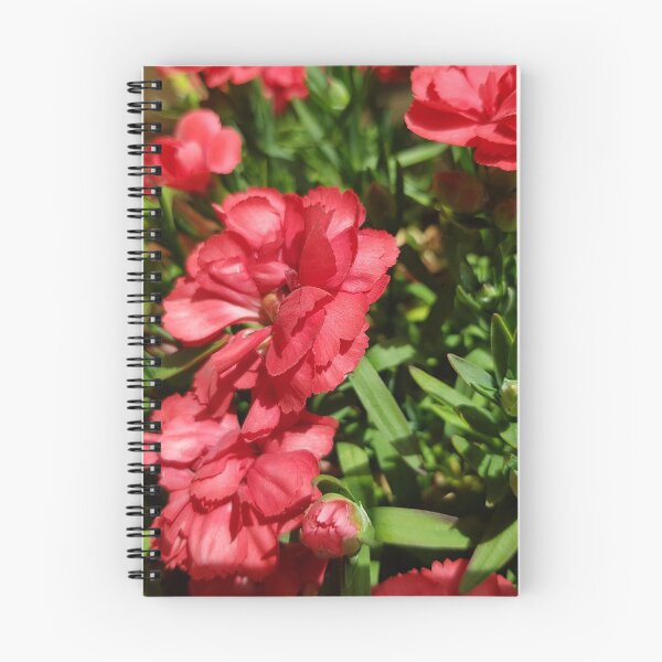 Item preview, Dianthus designed and sold by Vitty3.