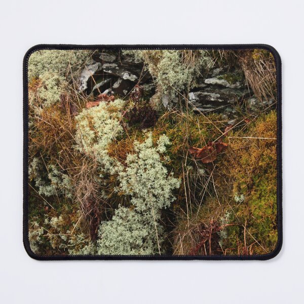 Item preview, Embankment face designed and sold by Kate Anderson Art.