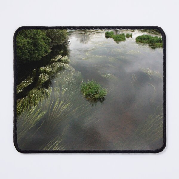 Item preview, River bend with River Water-Crowfoot - Ranunculus Fluitans designed and sold by Kate Anderson Art.