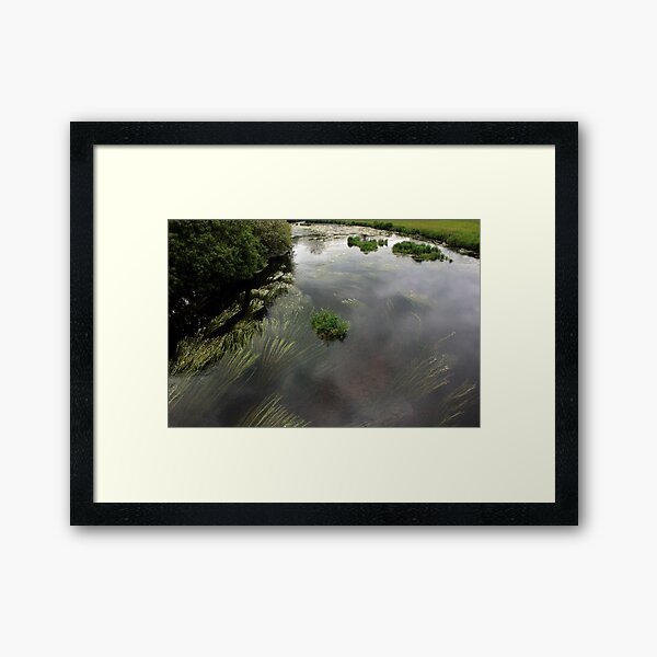 Item preview, River bend with River Water-Crowfoot - Ranunculus Fluitans designed and sold by Kate Anderson Art.