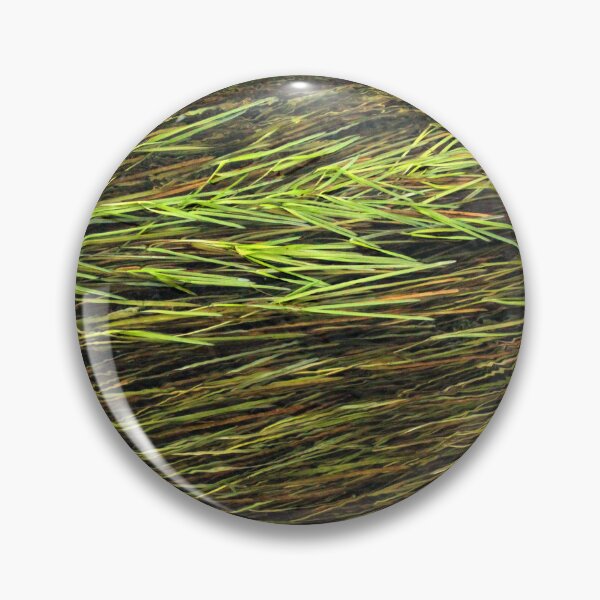 Item preview, River Teifi with River Water-Crowfoot - Ranunculus Fluitans designed and sold by Kate Anderson Art.