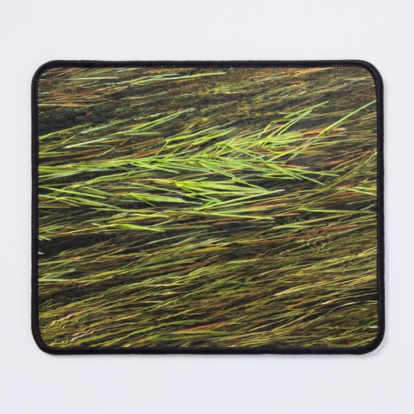 Item preview, River Teifi with River Water-Crowfoot - Ranunculus Fluitans designed and sold by Kate Anderson Art.