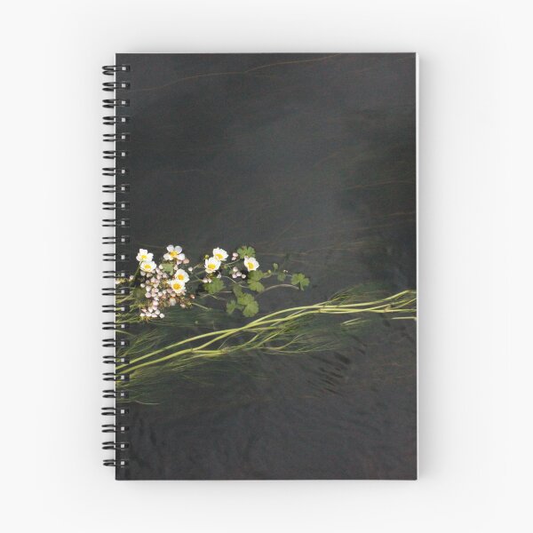 Item preview, Dark Waters of River Teifi with River Water-Crowfoot - Ranunculus Fluitans designed and sold by Kate Anderson Art.