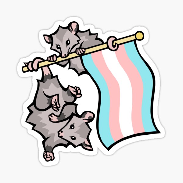 Aperçu de l'œuvre Opossum Trans Pride créée et vendue par SkyeHazel.