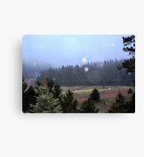 Mysty Days Canvas Print