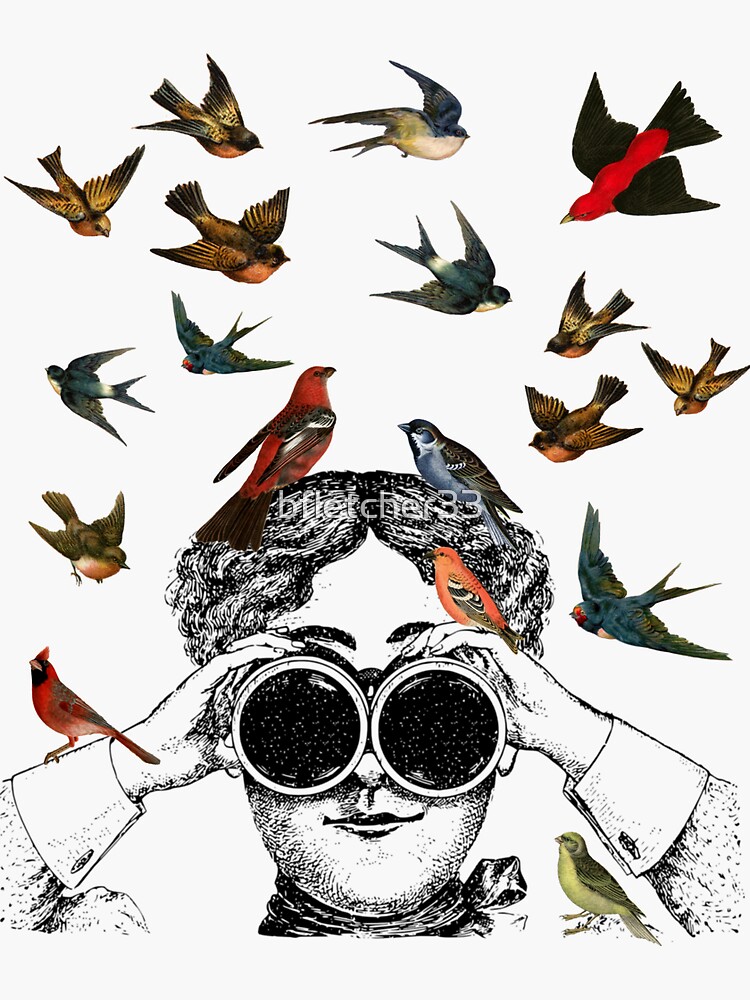 Vintage Birdwatching Design For All Bird Lovers Twitchers And Ornithologists Sticker For Sale By