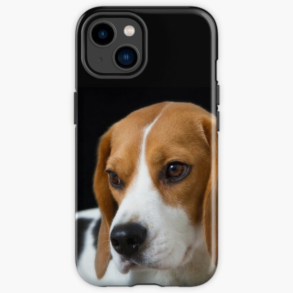 Beagle on the Black iPhone Tough Case