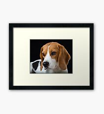 Beagle on the Black Framed Print