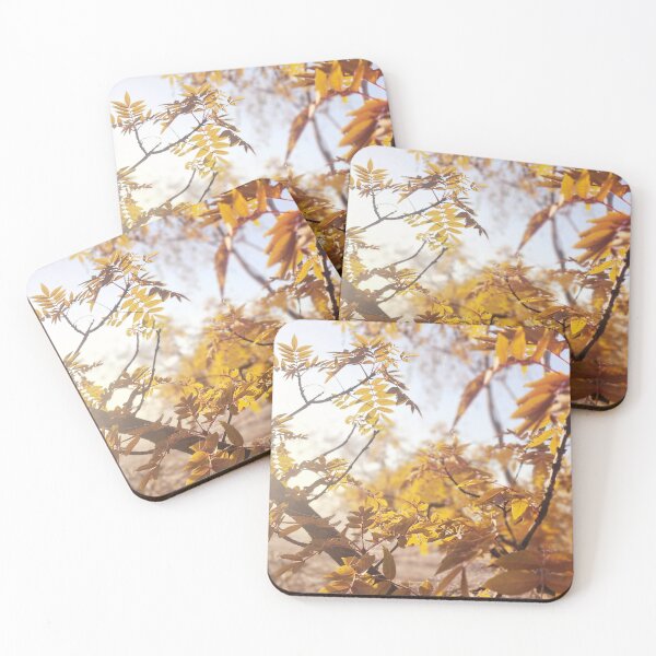 Item preview, Country Australian Autumn Leaves Photo, Aussie Outback Photography designed and sold by imajine.