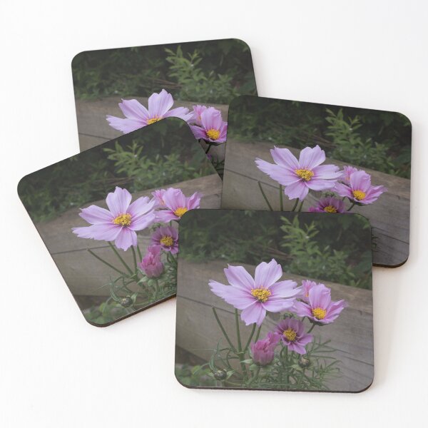 Item preview, garden cosmos designed and sold by Pippaxprints.