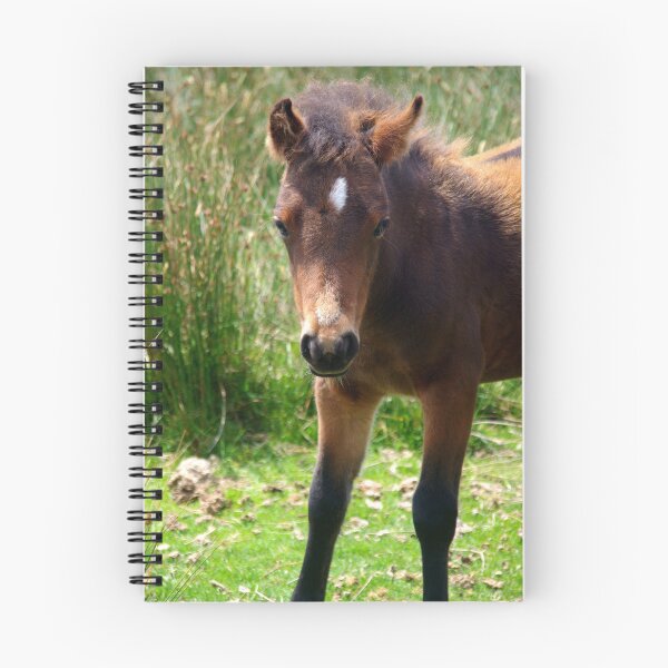 Item preview, Young Pony designed and sold by lezvee.