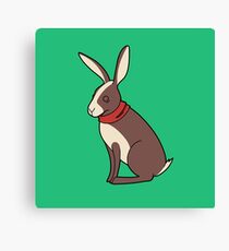 Peppy Hare Canvas Print