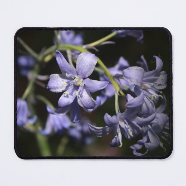 Item preview, Bluebells designed and sold by Amberprints25.