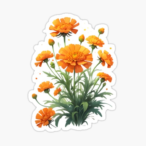 Artikel-Vorschau von Orange Ringelblume (Tagetes), designt und verkauft von hometown86.