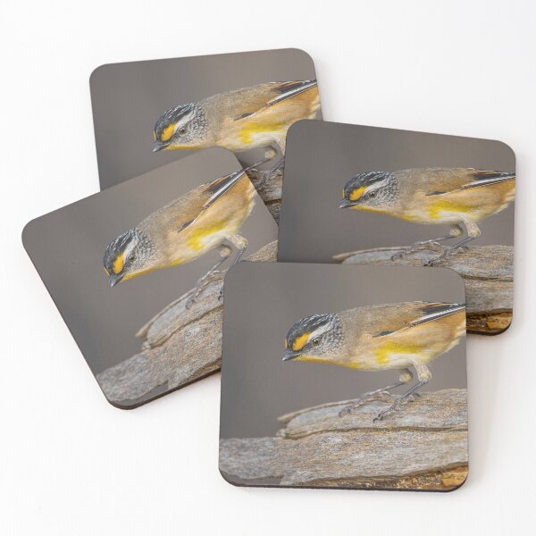Item preview, Striated Pardalote designed and sold by Nick Vertsonis.
