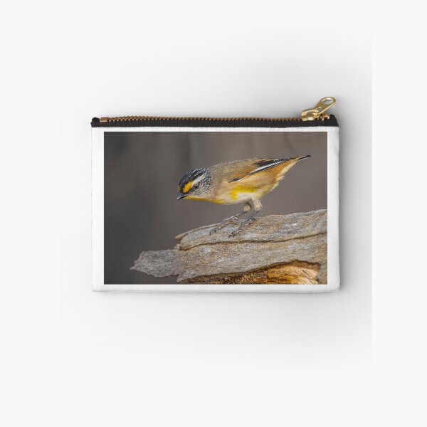 Item preview, Striated Pardalote designed and sold by Nick Vertsonis.