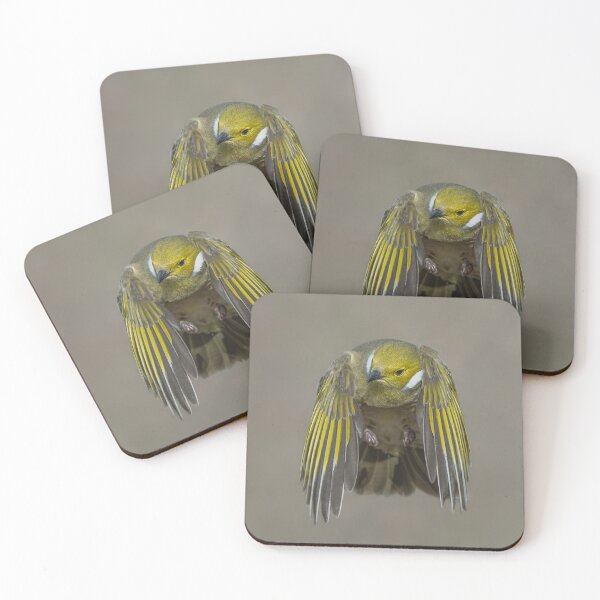 Item preview, White Plumed Honeyeater designed and sold by Nick Vertsonis.