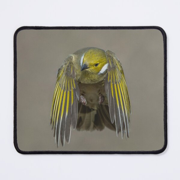 Item preview, White Plumed Honeyeater designed and sold by Nick Vertsonis.