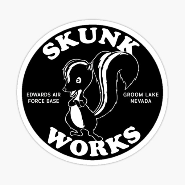 Vista previa del artículo con la obra «Stealth Skunk: un homenaje a la aviación avanzada», diseñado y vendido por WITMIX STORE .