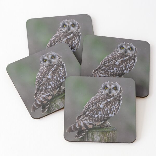 Item preview, Short Eared Owl - The Stare designed and sold by ClaireChown.