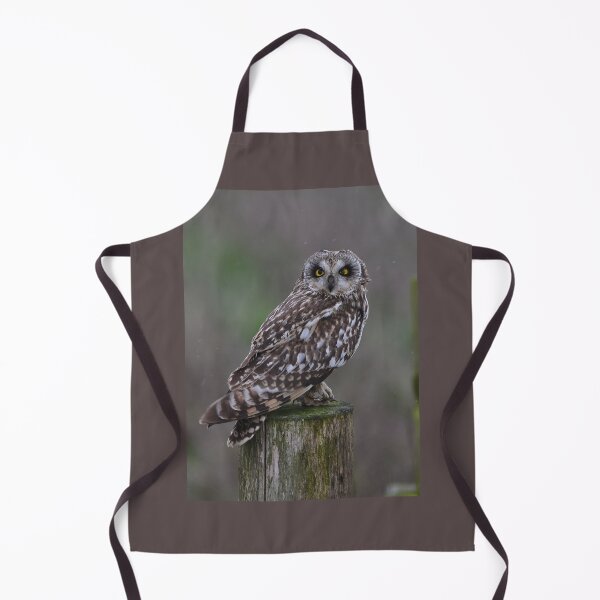 Item preview, Short Eared Owl - The Stare designed and sold by ClaireChown.