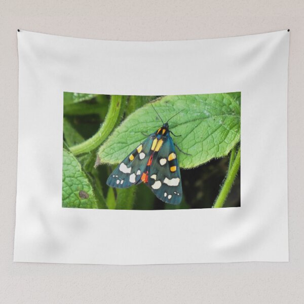 Item preview, Tiger Moth.........Lyme Regis. Dorset UK designed and sold by lynn carter.