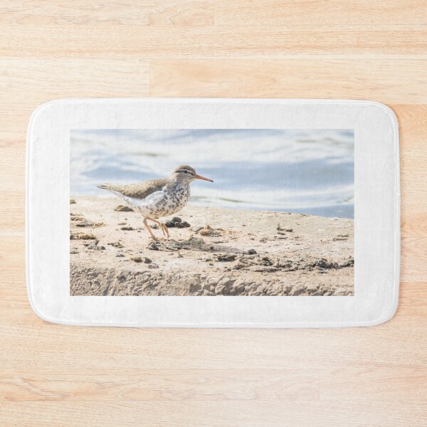 Item preview, Spotted Sandpiper designed and sold by LaurenTucker.