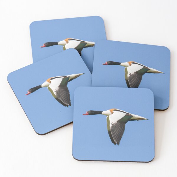 Item preview, Common Shelduck designed and sold by LaurenTucker.