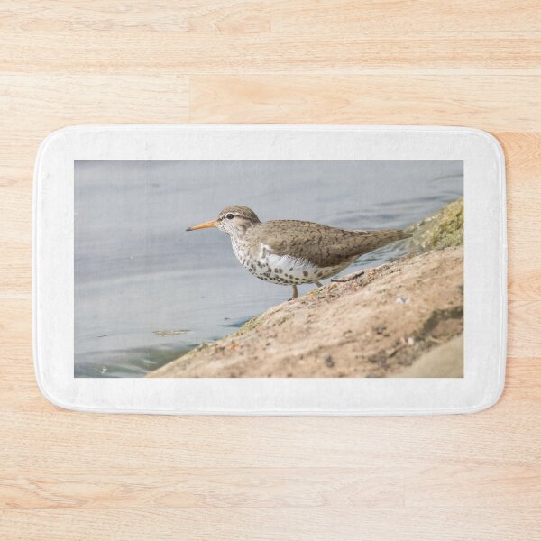 Item preview, Spotted Sandpiper designed and sold by LaurenTucker.