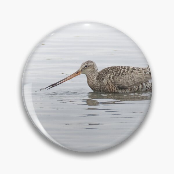 Item preview, Hudsonian Godwit designed and sold by LaurenTucker.