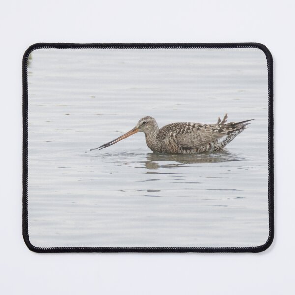 Item preview, Hudsonian Godwit designed and sold by LaurenTucker.