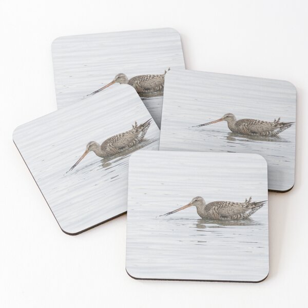 Item preview, Hudsonian Godwit designed and sold by LaurenTucker.