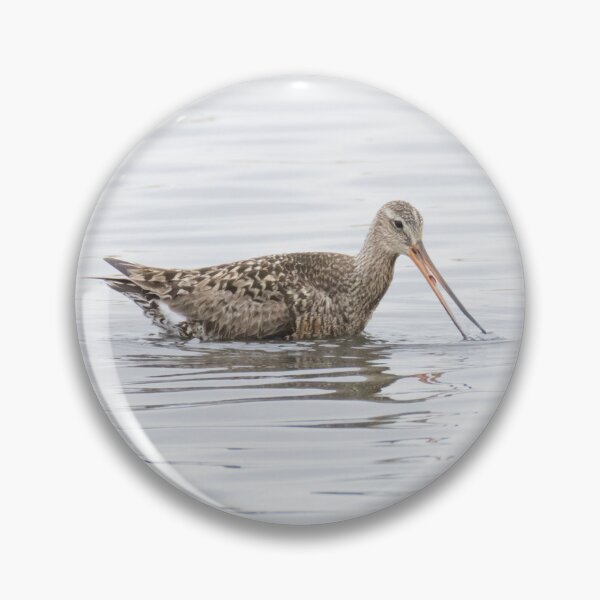 Item preview, Hudsonian Godwit designed and sold by LaurenTucker.