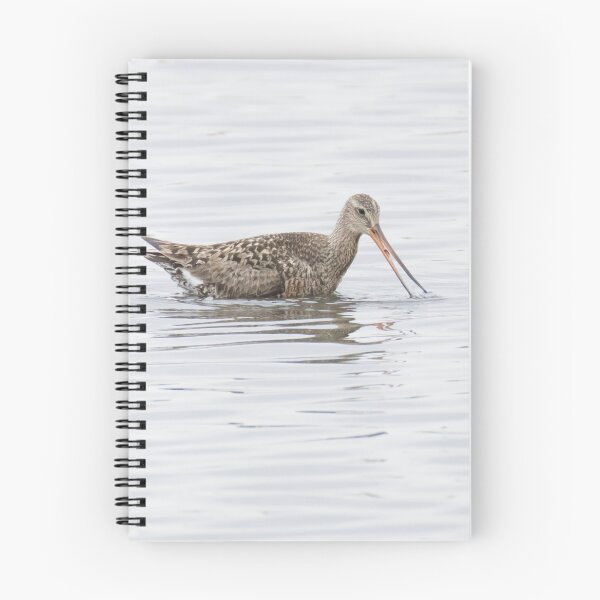 Item preview, Hudsonian Godwit designed and sold by LaurenTucker.
