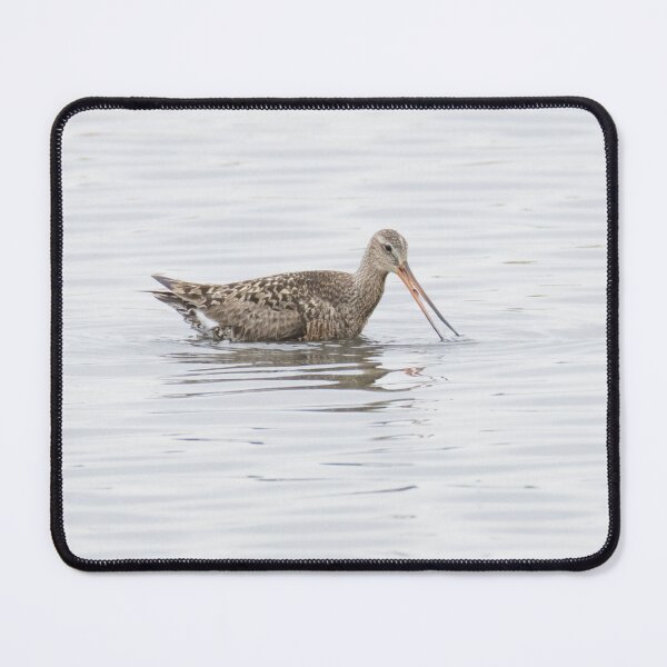 Item preview, Hudsonian Godwit designed and sold by LaurenTucker.