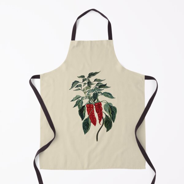 Item preview, Chili Pepper Botanical Vector Illustration designed and sold by taiche.