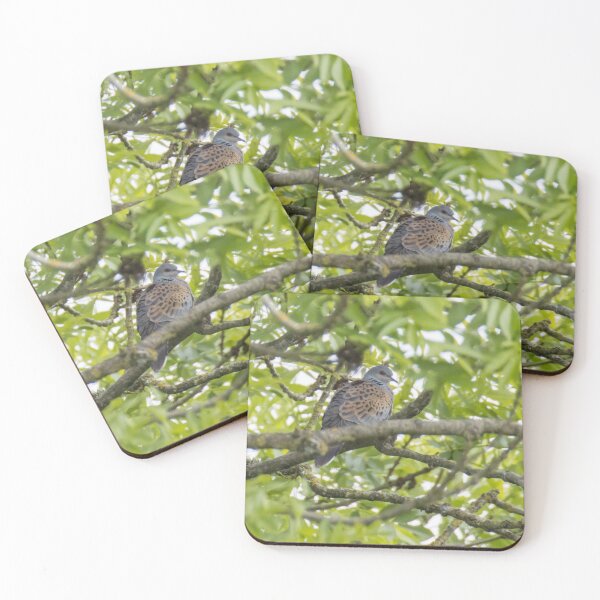 Item preview, European Turtle Dove designed and sold by LaurenTucker.