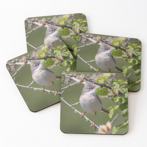 Item preview, Common Whitethroat designed and sold by LaurenTucker.