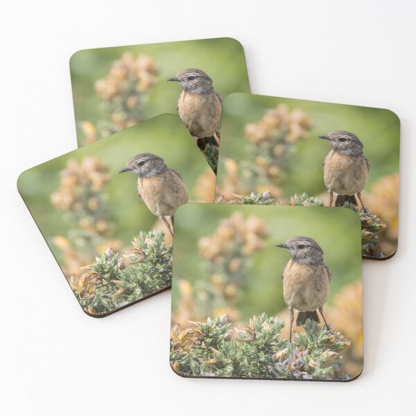 Item preview, European Stonechat designed and sold by LaurenTucker.