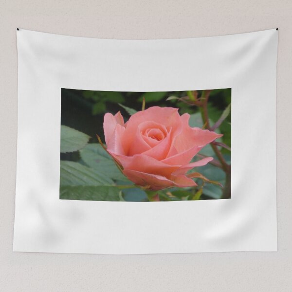 Item preview, Pink Rose.......Lyme Regis. Dorset UK designed and sold by lynn carter.
