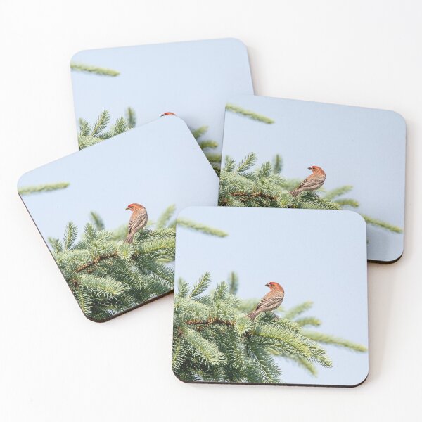 Item preview, House finch in a tree designed and sold by KRFNatureGifts.